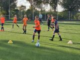 Eerste training S.K.N.W.K. JO12-1jm seizoen 2023-2024 (63/65)